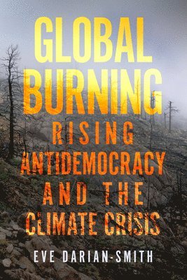 Eve Darian-Smith - Global Burning, Häftad