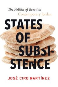 bokomslag States of Subsistence
