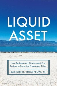 bokomslag Liquid Asset