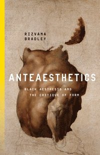 bokomslag Anteaesthetics