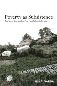 bokomslag Poverty As Subsistence