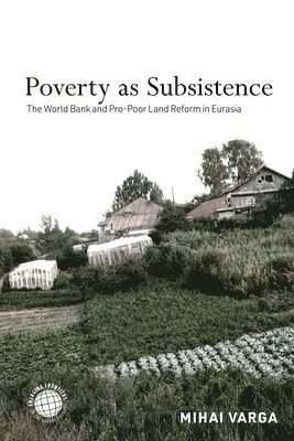 bokomslag Poverty as Subsistence