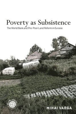 Poverty as Subsistence 1