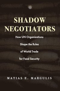 bokomslag Shadow Negotiators