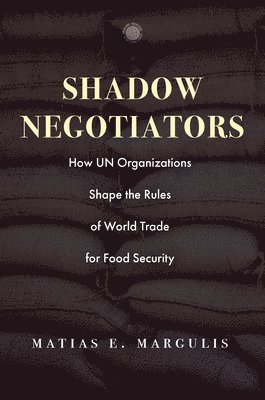 bokomslag Shadow Negotiators