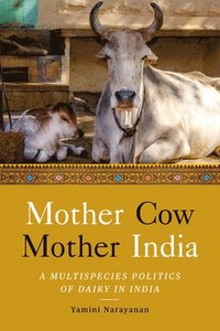 bokomslag Mother Cow, Mother India
