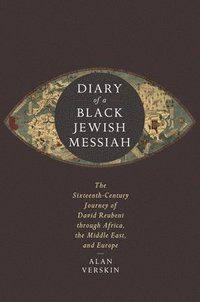 bokomslag Diary of a Black Jewish Messiah