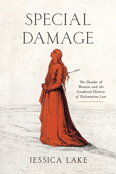 Jessica Lake - Special Damage, Inbunden