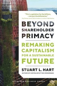 bokomslag Beyond Shareholder Primacy