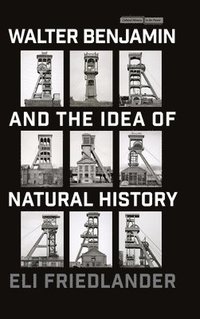 bokomslag Walter Benjamin and the Idea of Natural History