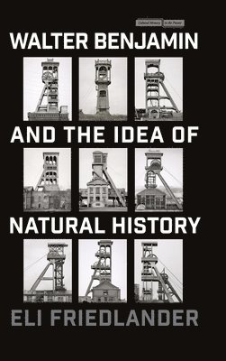 Walter Benjamin and the Idea of Natural History 1