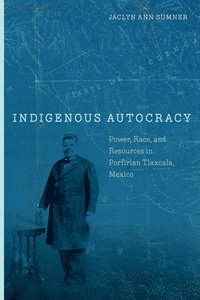 bokomslag Indigenous Autocracy