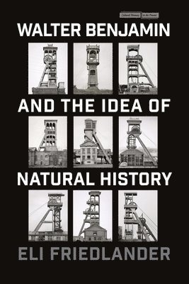 bokomslag Walter Benjamin and the Idea of Natural History