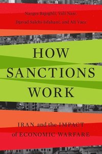 bokomslag How Sanctions Work