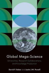 bokomslag Global Mega-Science