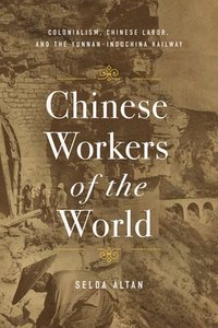 bokomslag Chinese Workers of the World