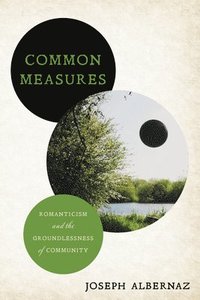 bokomslag Common Measures