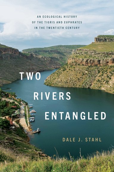 Dale J. Stahl - Two Rivers Entangled, Inbunden