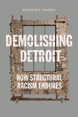 bokomslag Demolishing Detroit