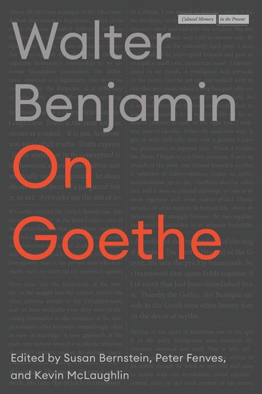 Walter Benjamin, Peter Fenves, Kevin McLaughlin, Susan Bernstein - On Goethe, Häftad
