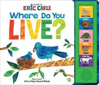 bokomslag Eric Carle Little Lift & Listen