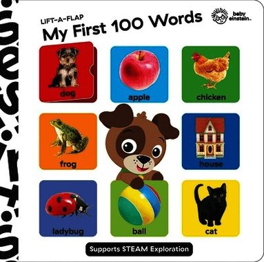 Pi Kids - Baby Einstein: First 100 Words, Inbunden