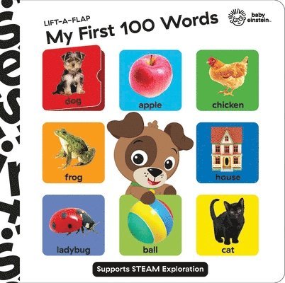 Baby Einstein: My First 100 Words Lift-A-Flap 1