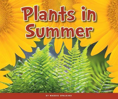 Maddie Spalding - Plants in Summer, Inbunden