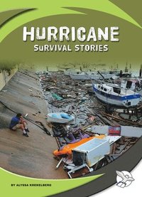 bokomslag Hurricane Survival Stories