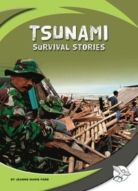 bokomslag Tsunami Survival Stories