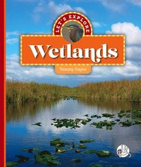 bokomslag Let's Explore Wetlands