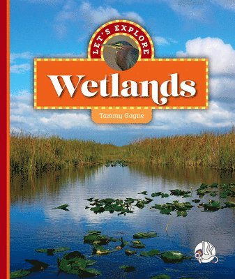 bokomslag Let's Explore Wetlands