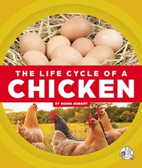 bokomslag The Life Cycle of a Chicken