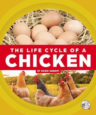 Robin Merritt - The Life Cycle of a Chicken, Inbunden