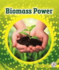 bokomslag Biomass Power