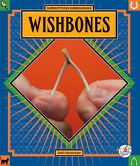 bokomslag Wishbones