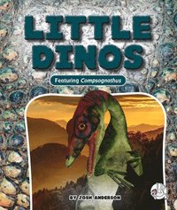 bokomslag Little Dinos