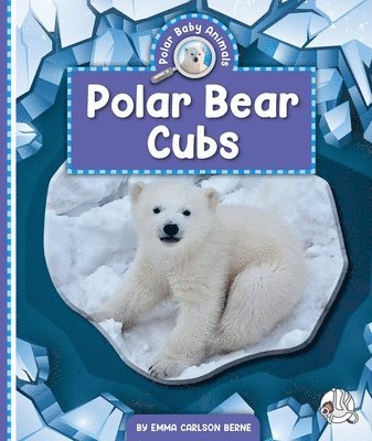 bokomslag Polar Bear Cubs
