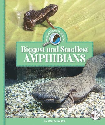 Biggest and Smallest Amphibians
