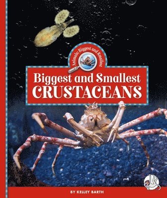 Biggest and Smallest Crustaceans
