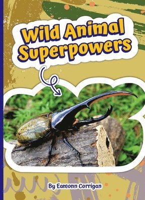 Wild Animal Superpowers