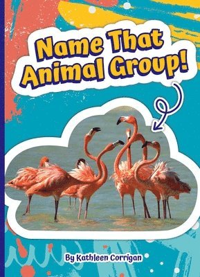 Name That Animal Group!