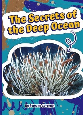 The Secrets of the Deep Ocean