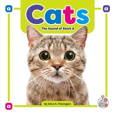 bokomslag Cats