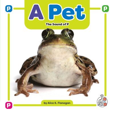 A Pet 1
