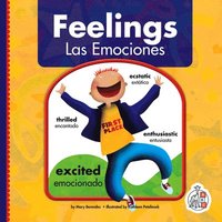 bokomslag Feelings/Las Emociones