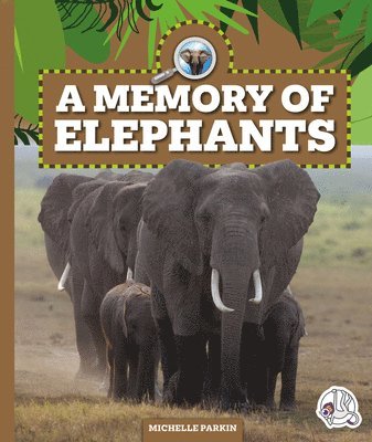 A Memory of Elephants 1