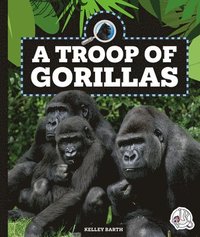 bokomslag A Troop of Gorillas