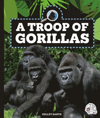 A Troop of Gorillas 1