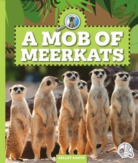 bokomslag A Mob of Meerkats